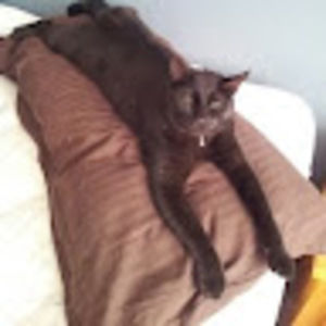 Meet your Posher, Nancy